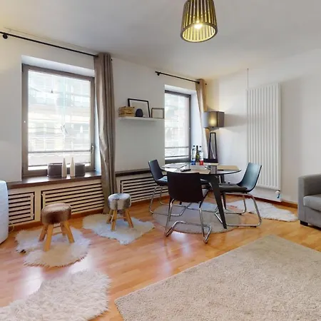 コルマラパー ルー デ クレ アパート コルマール